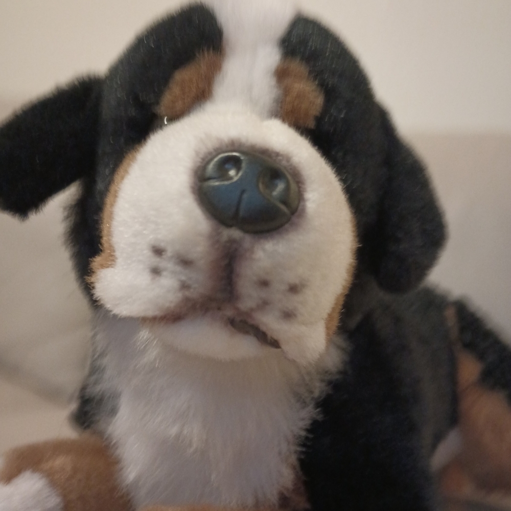 Vintage E & J  Classic Collection Bernese Mountain Dog Stuffed Plush M/L - Picture 3 of 16